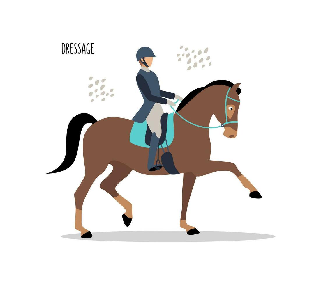 Equestrian sports. Dressage. Vector flat illustration isolated on white background