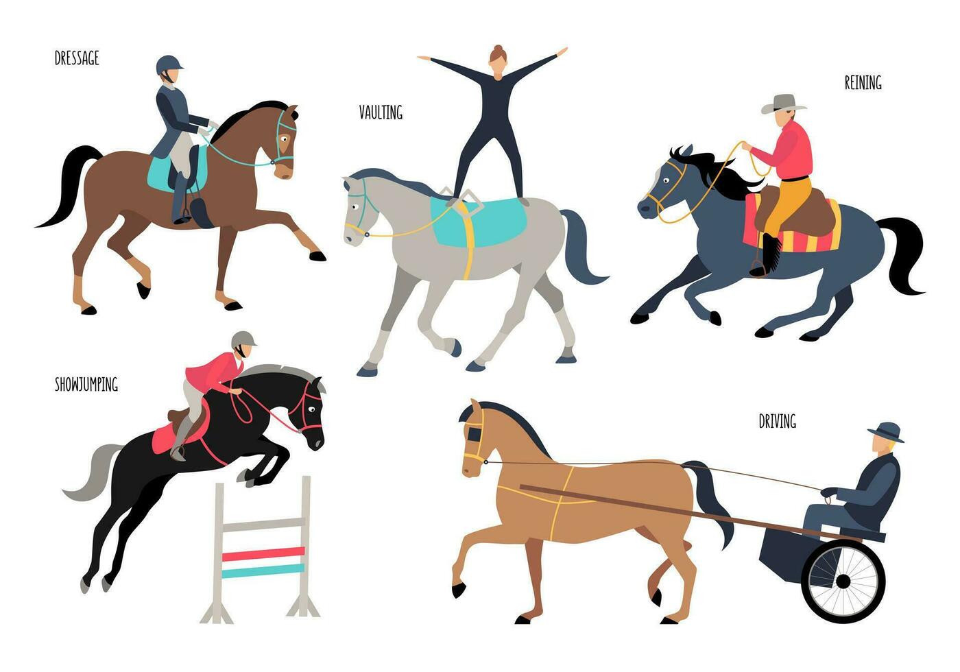 different gaits of horses and equestrian sports vector