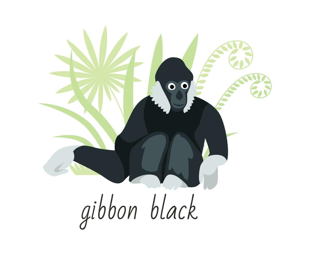 Animal black gibbon isolated on white background. Tropical plants. Vector flat illustration