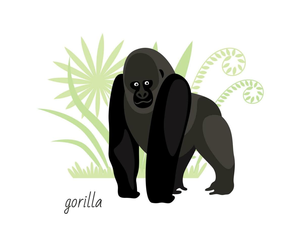 Animal gorilla isolated on white background. Tropical plants. Vector flat illustration