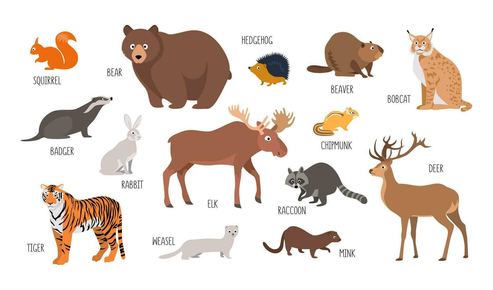 Vector set of wild forest animals, bear, beaver, elk, deer, badger and others. Illustration isolated on white background flat style
