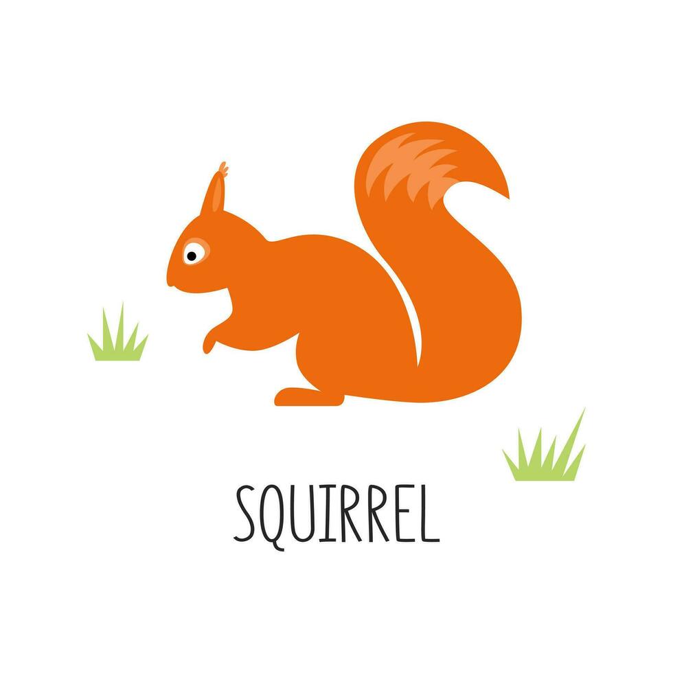 Vector flat illustration of wild forest animal, squirrel. Illustration isolated on white background.