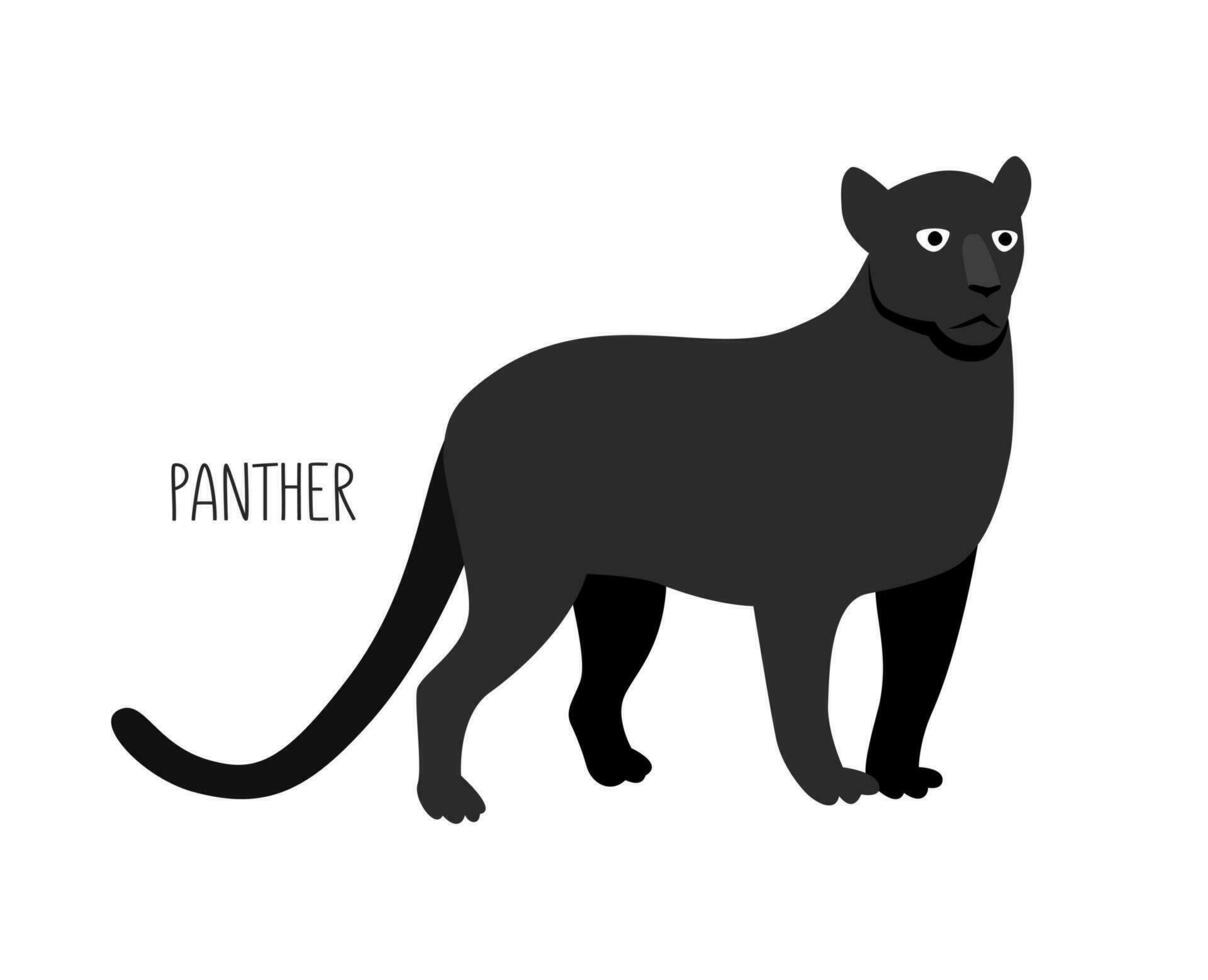 Panther is a wild cat. Title. Vector flat illustration of animal isolated on white background.