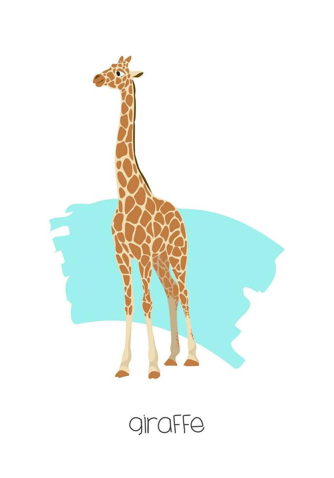 Giraffe in the background with a brushstroke. Vector image of a flat animal. Isolated on white background