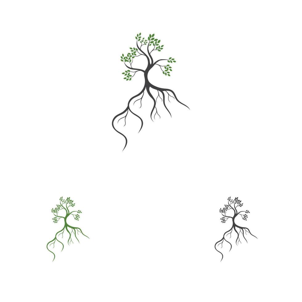 mangrove logo and symbol vector