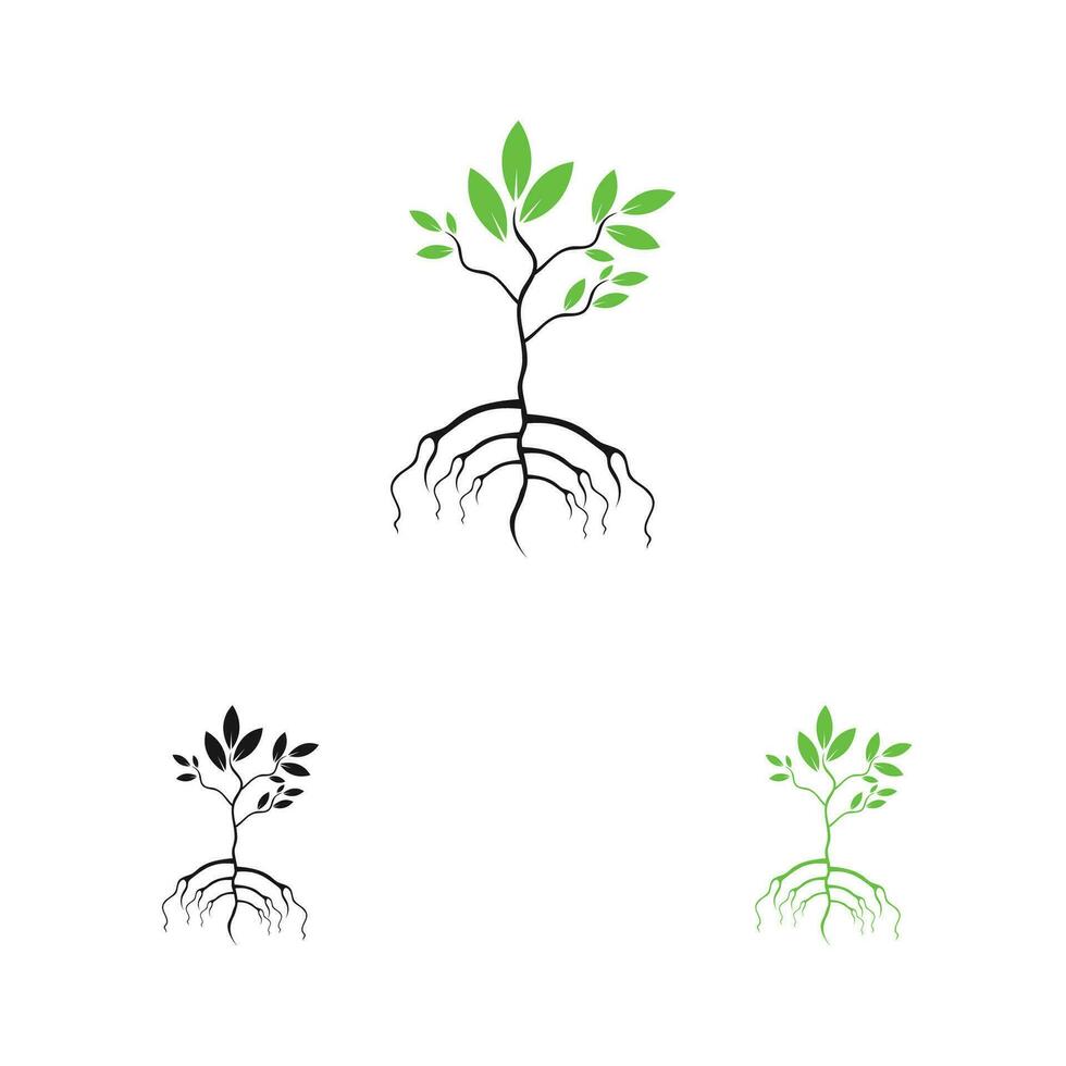 mangrove logo and symbol vector