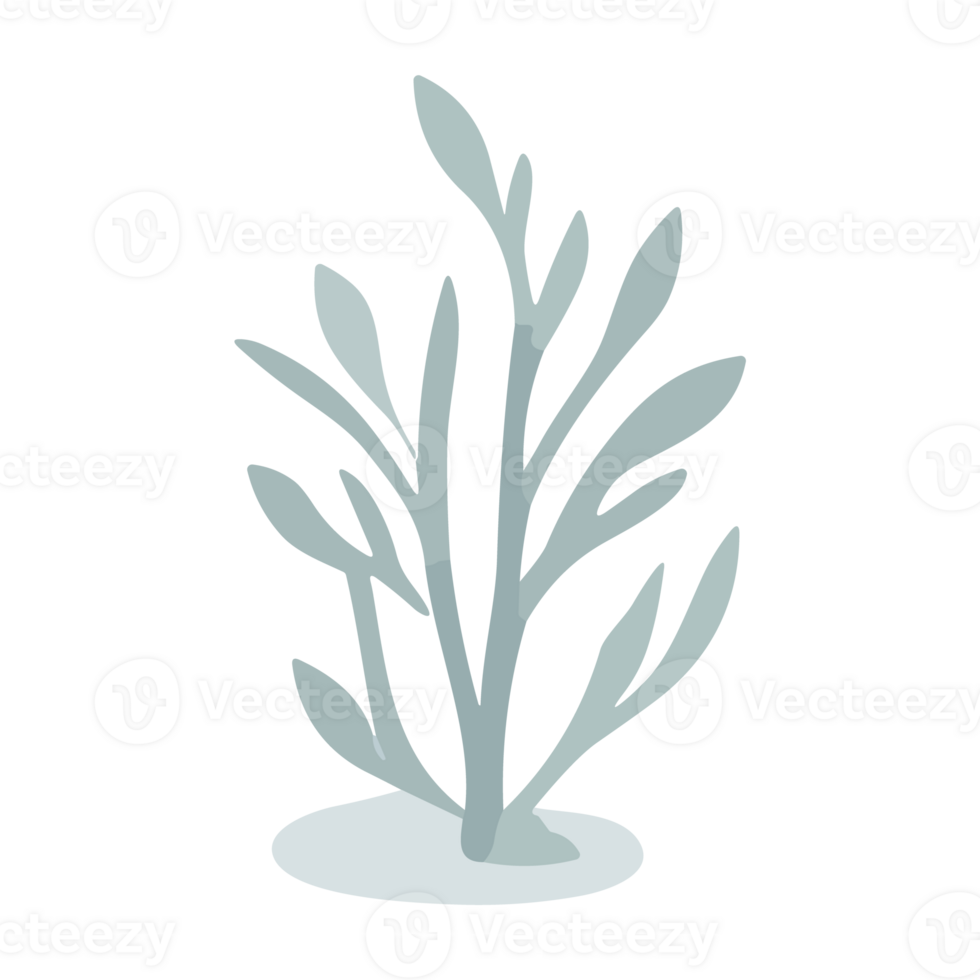 Illustration of an isolated seaweed icon in a flat style. png