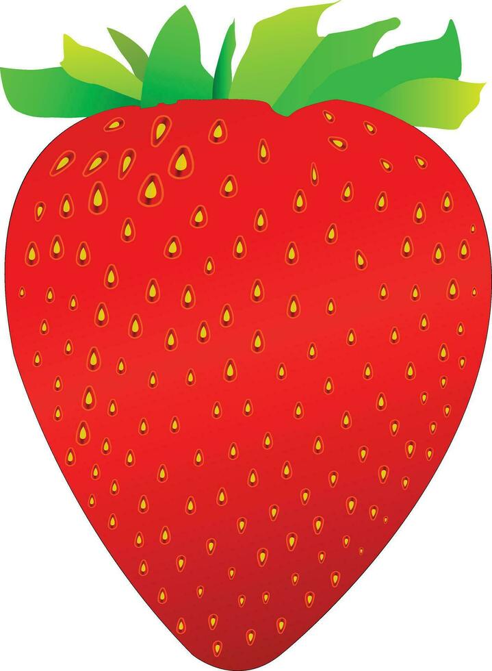 Realistic stobery fruit art in illustrator . vector