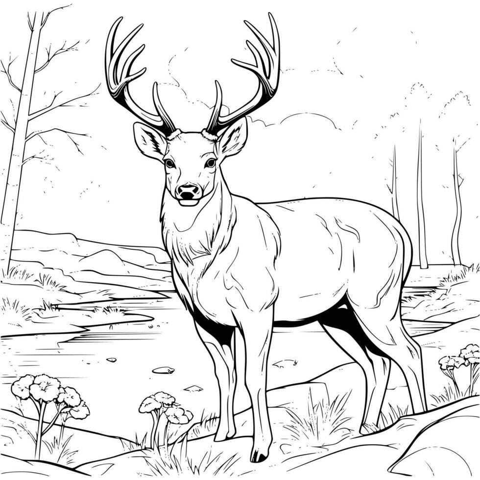Big Deer On The River Bank Coloring Page Drawing For Kids vector
