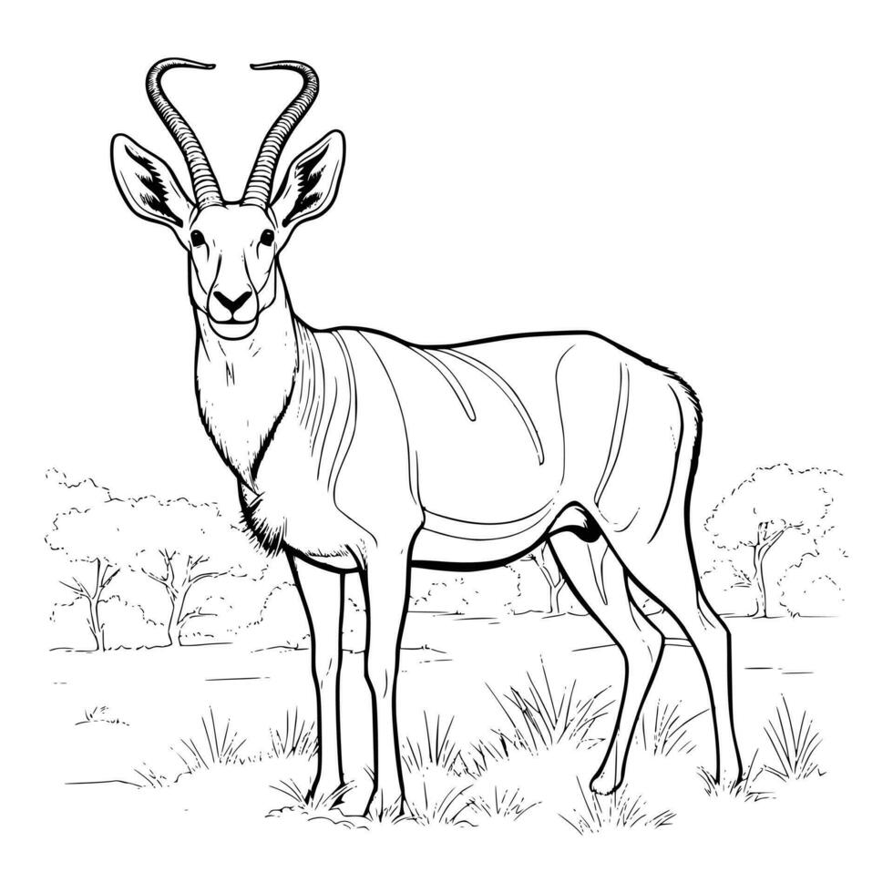 Antelope Coloring Pages For Kids vector