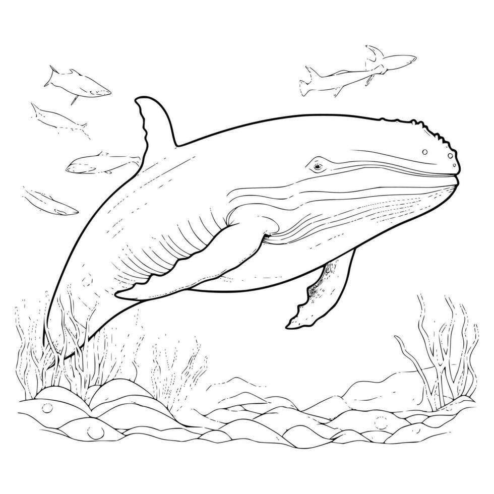 Blue Whale Coloring Pages Drawing For Kid vector