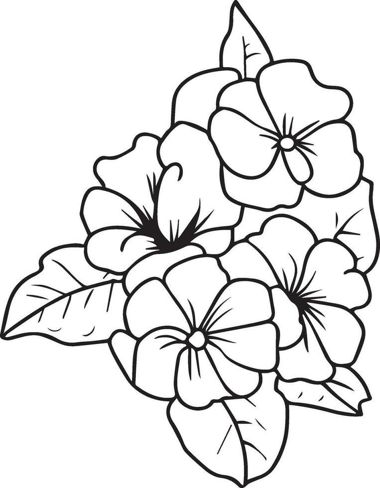 prímula flores ilustración colorante página, sencillez, embellecimiento, monocromo, vector arte, contorno impresión con flores primavera flor, hojas, y brotes prímula francisca flores tatuajes