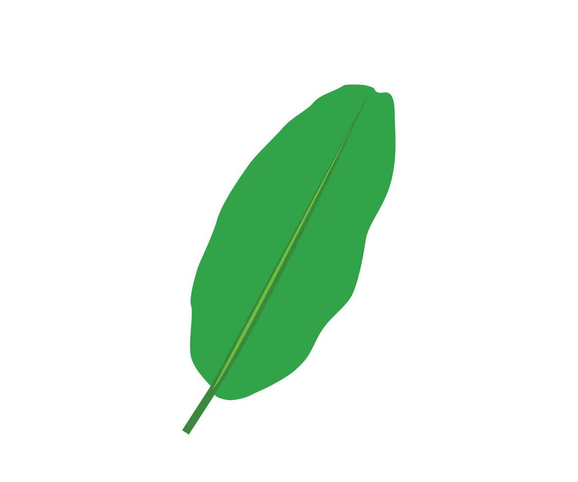 Banana leaf art design vector