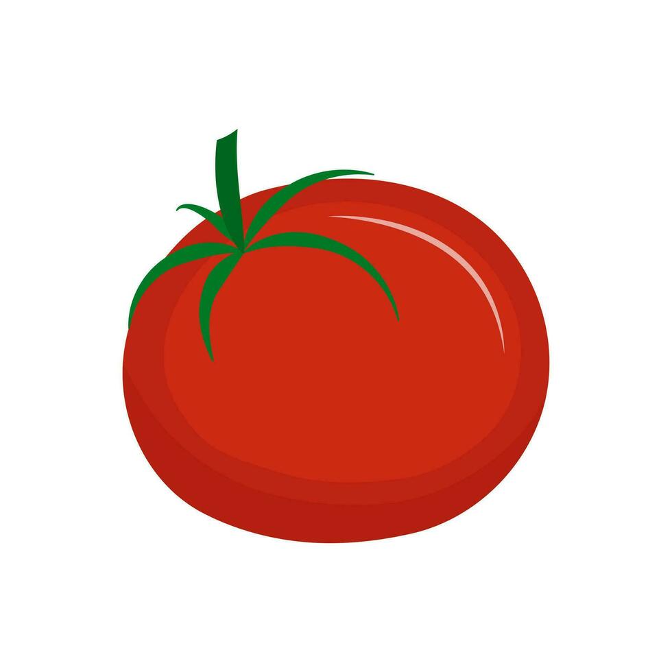 Red juicy tomato with green tail isolated on white background. Flat vector illustration.