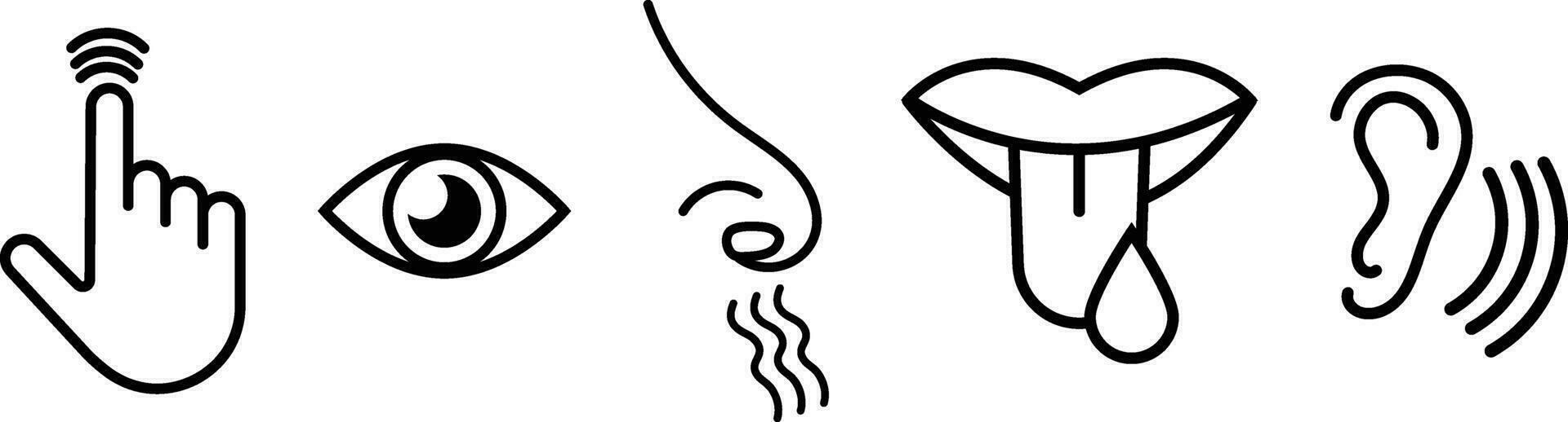The Five Touch, Hear, Sight or Vision, Smell and Taste Senses Icons vector
