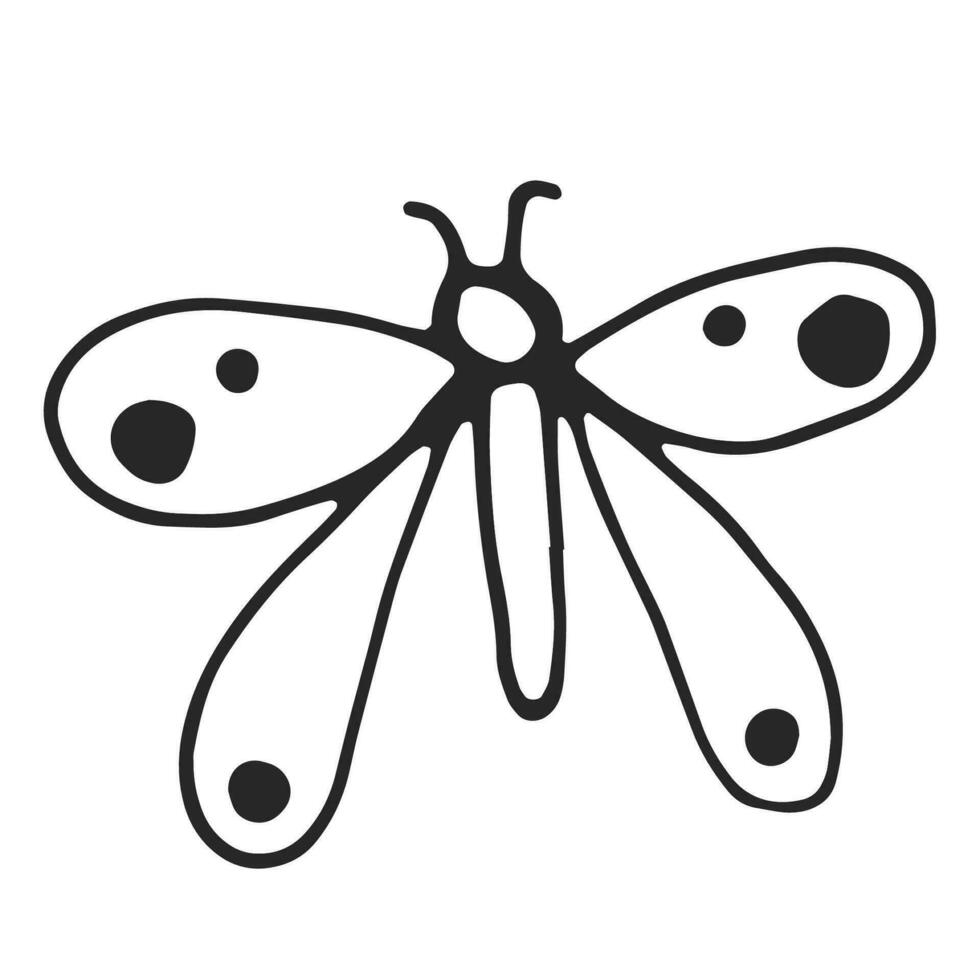 Butterfly, simple line drawing, black outline. Hand drawn, vector, on white background isolated. View from above. vector