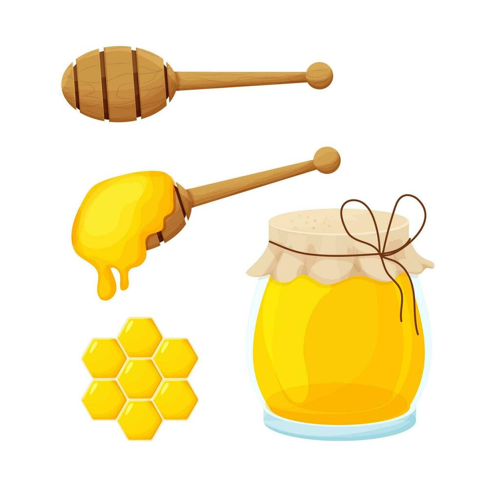 Set of honey dipper wooden spoon and glass jar. Apiculture, sweet nutrition dessert, farming. Elements in cartoon style isolated on white background. . Vector illustration