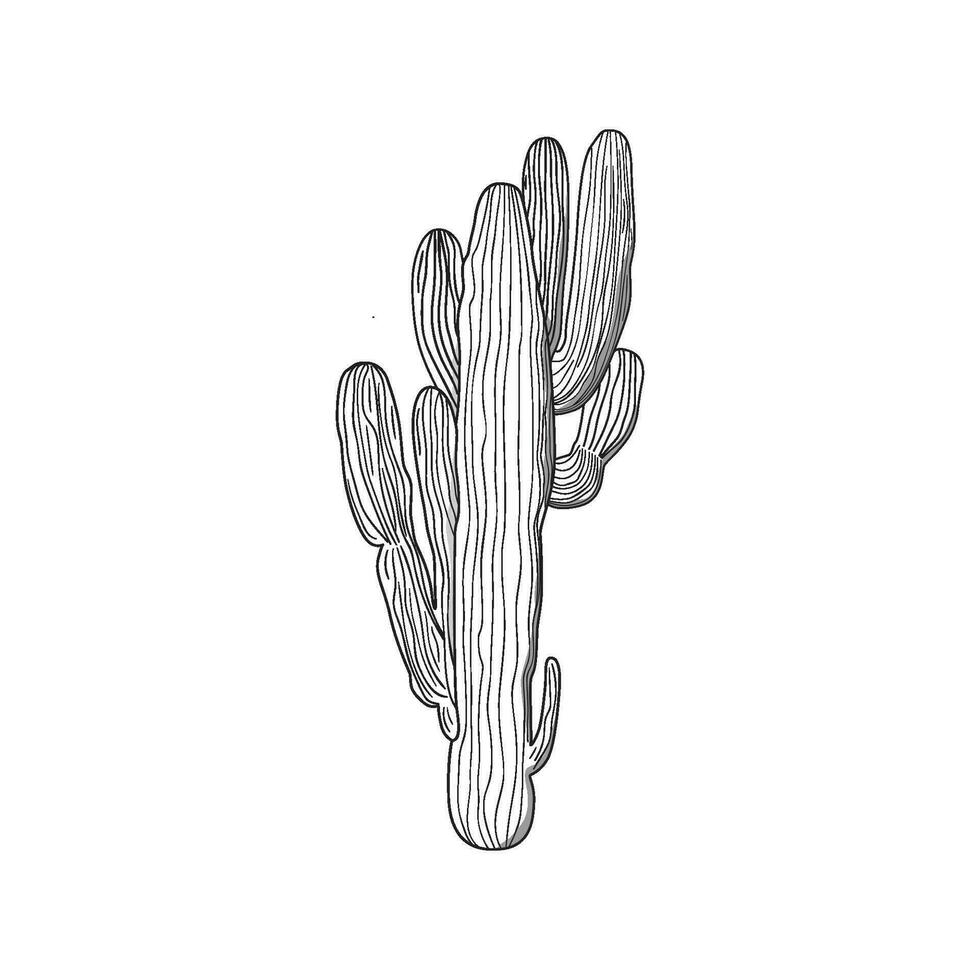 cactus bosquejo mano dibujado gráfico aislado elemento. grabado estilo línea Arte. vector ilustración. negro y blanco cactus imprimir, botánico imprimir, cactus pared arte, hogar decoración, Desierto impresión o tarjeta