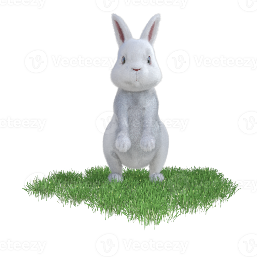 bunny with green grass png