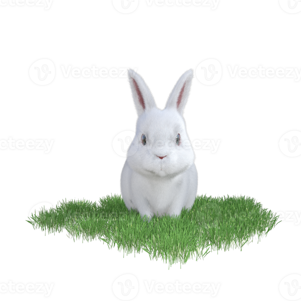 bunny with green grass png