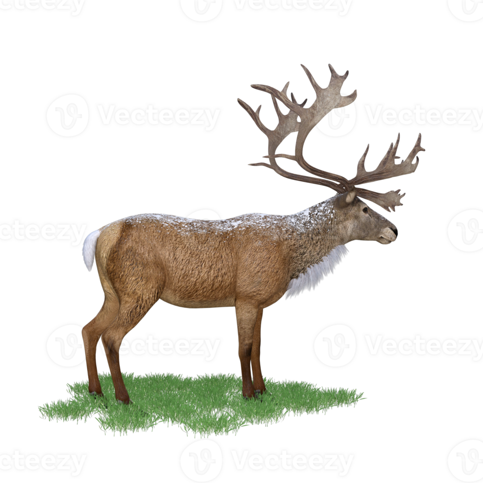 Deer red stag isolated 3d png