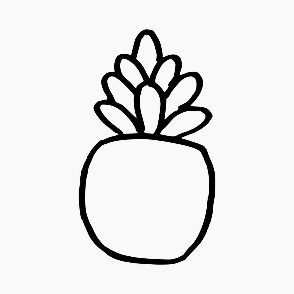hand drawn succulent houseplants in pots. isolated on white background. vector graphic.