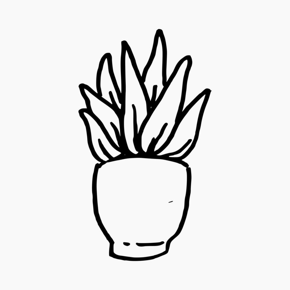 hand drawn aloe vera ornamental plant in a pot. isolated on white background. vector graphic.