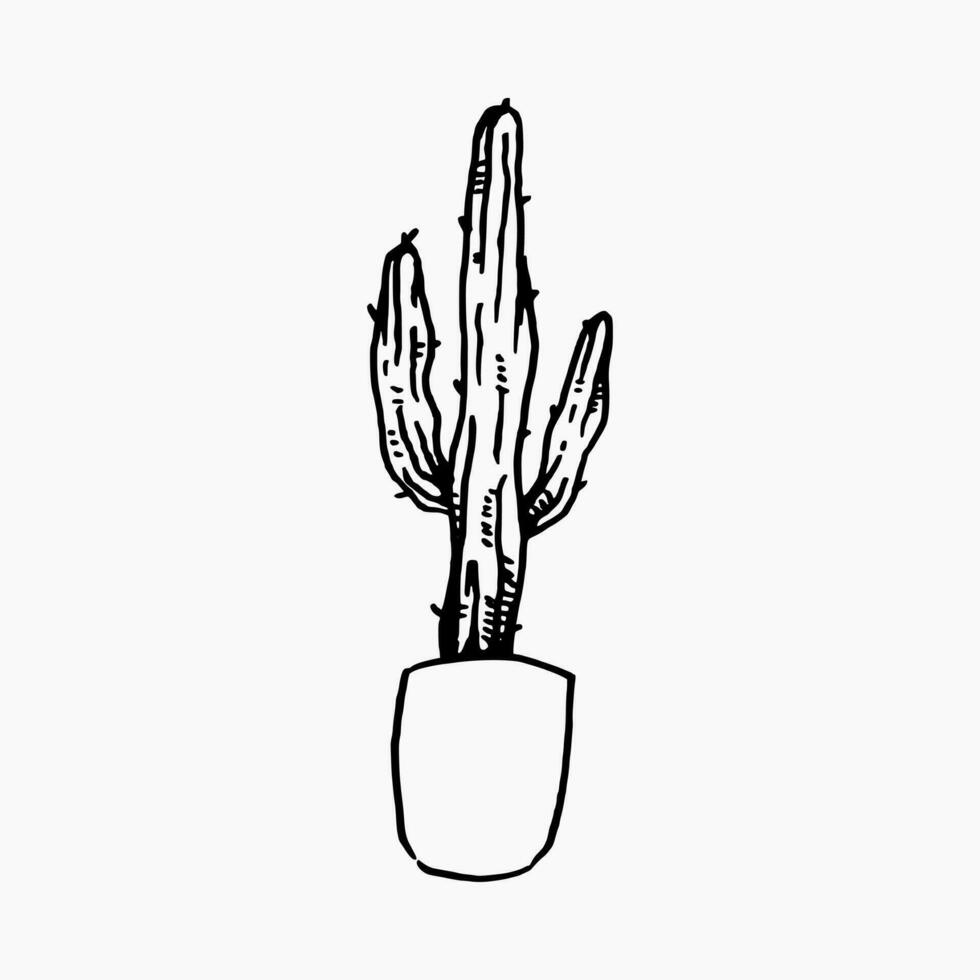 cactus plant in a pot with hand drawn style. isolated on white background. vector graphic.