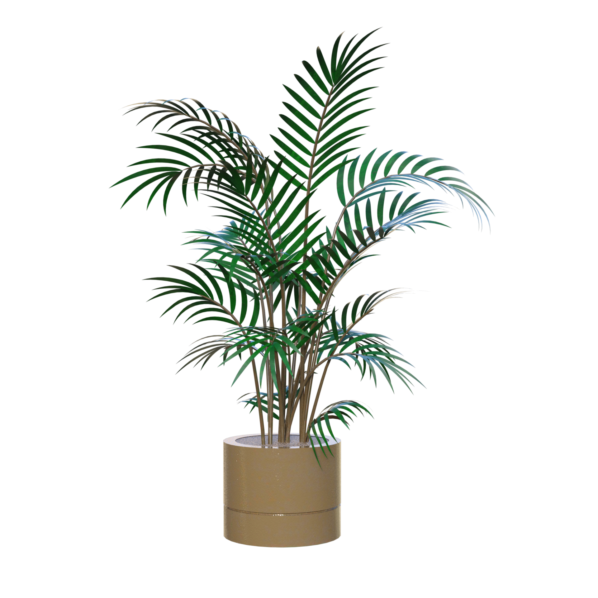 a potted palm tree on a white background 27504982 PNG