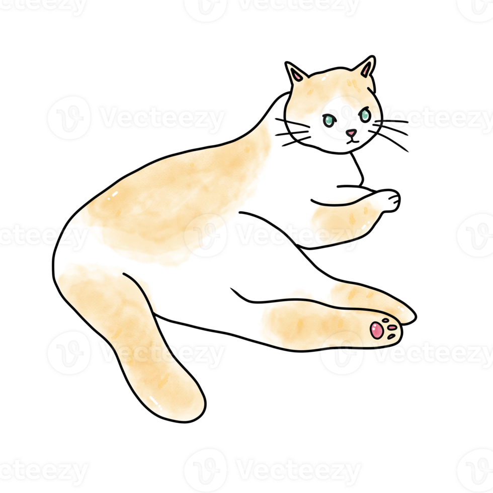 a cartoon cat png