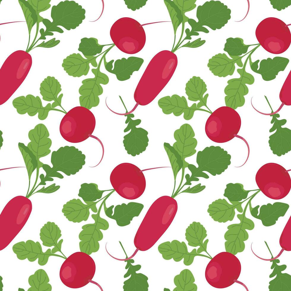 Red radish seamless pattern on white background. Vector vegetable in flat style. Background for kitchen textiles, pattern of fresh vegetables in cartoon style.