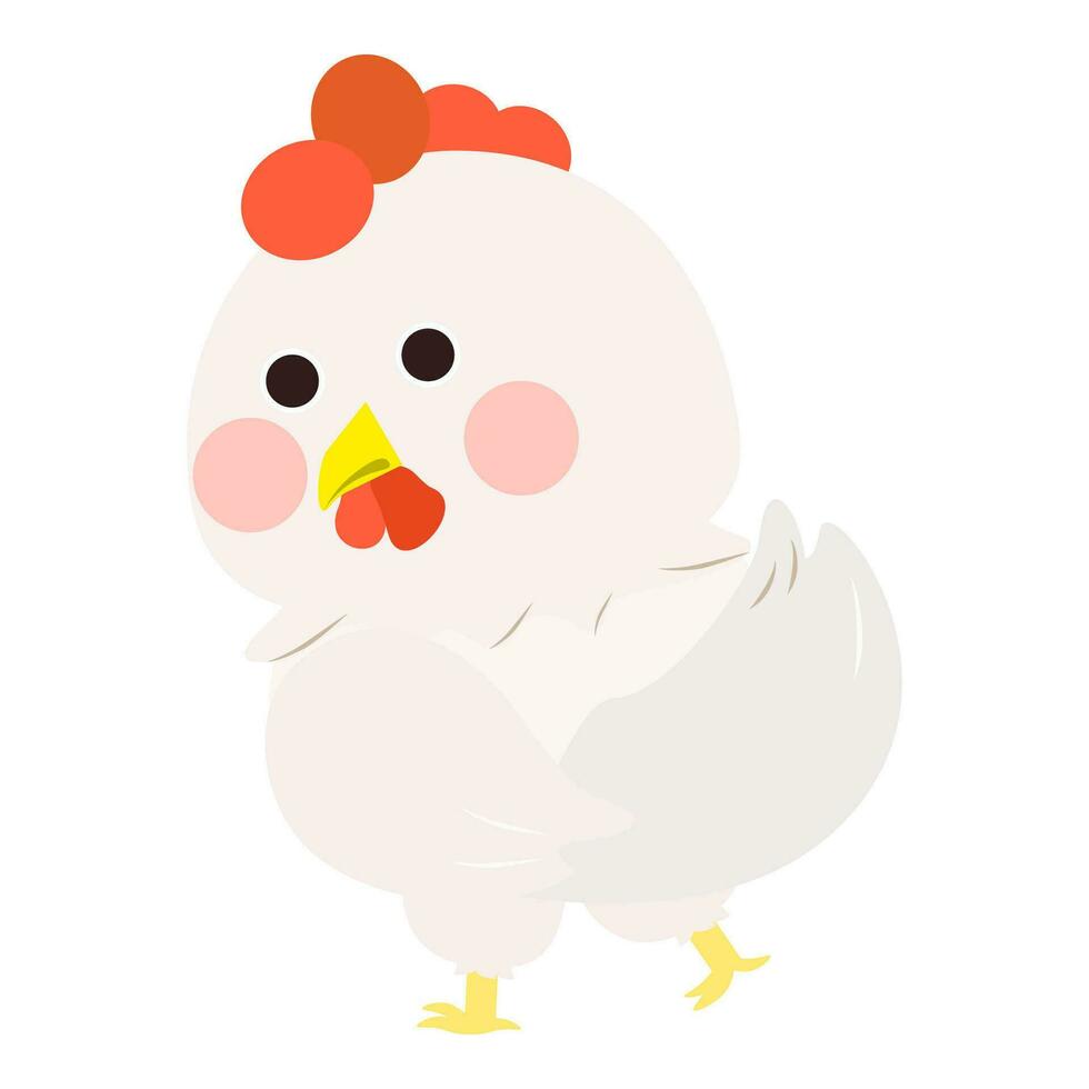Cute little white chicken, full body, standing, look back pose. Isolated on white background, EPS10 vector