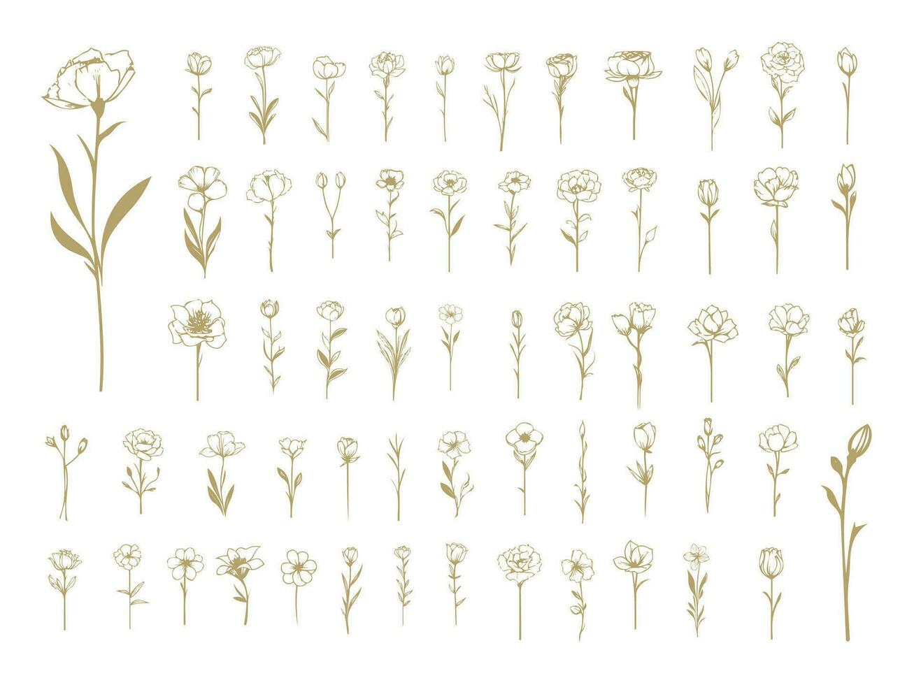 Big Set of Line Art Flower Drawn vector