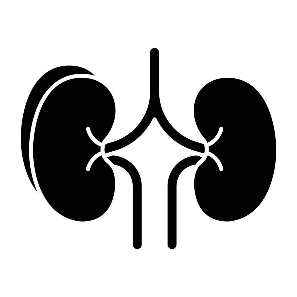 kidney glyph icon design style vector