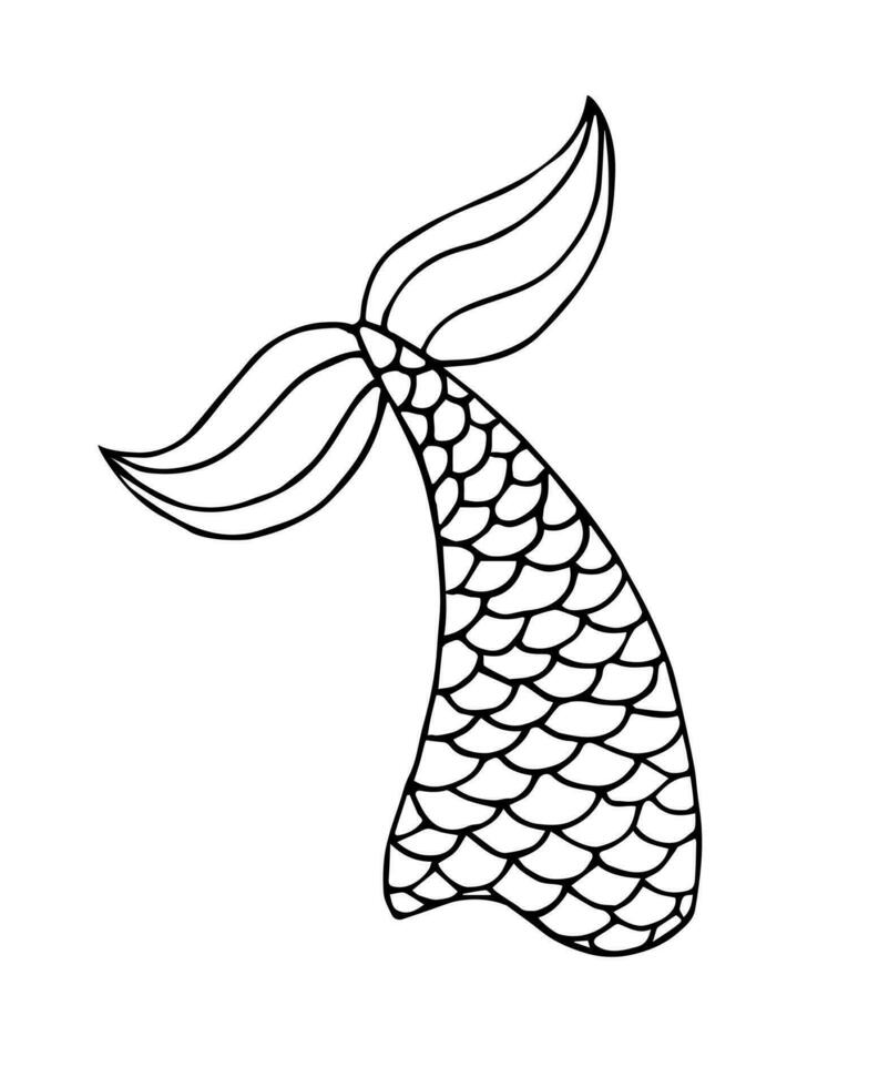 Vector hand drawn doodle sketch mermaid tail