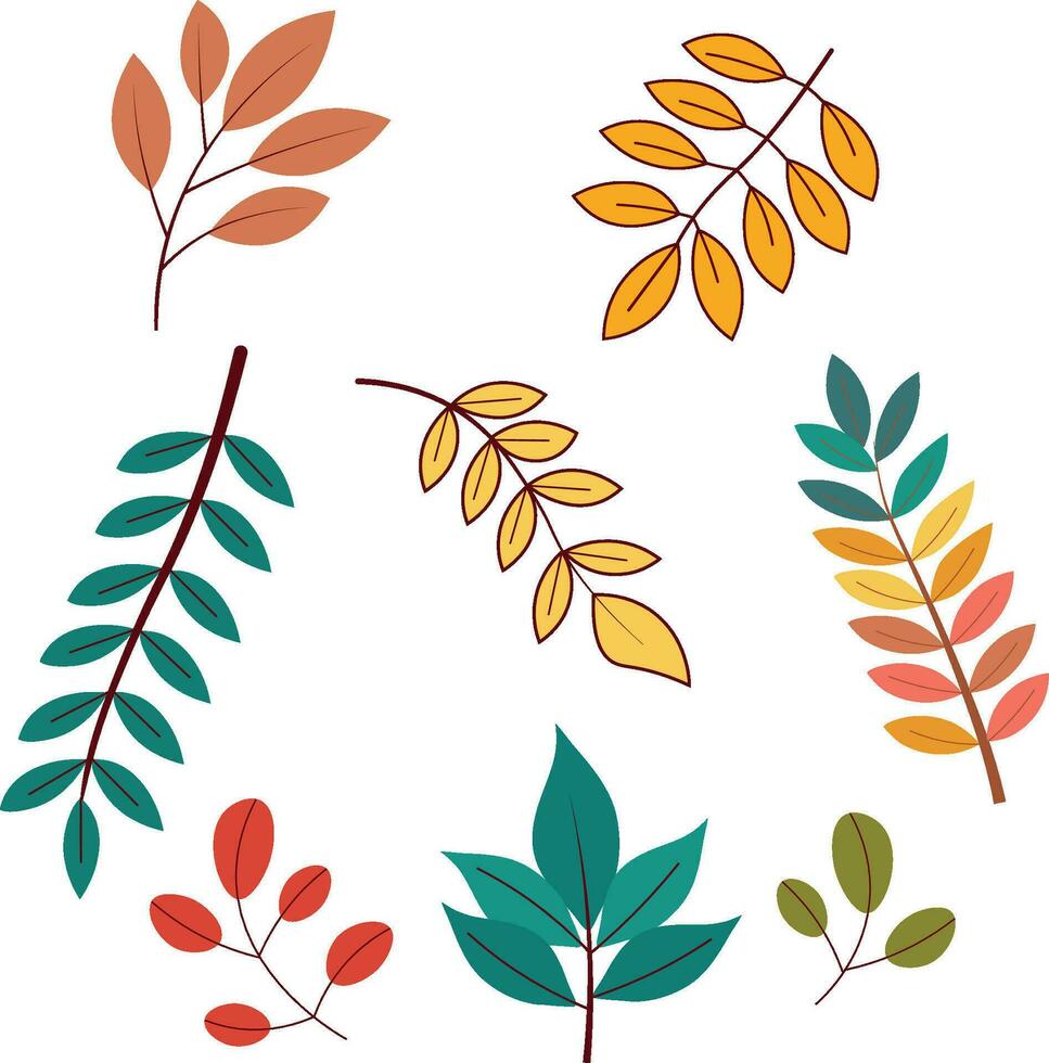 Free vector  autumn leaves collection