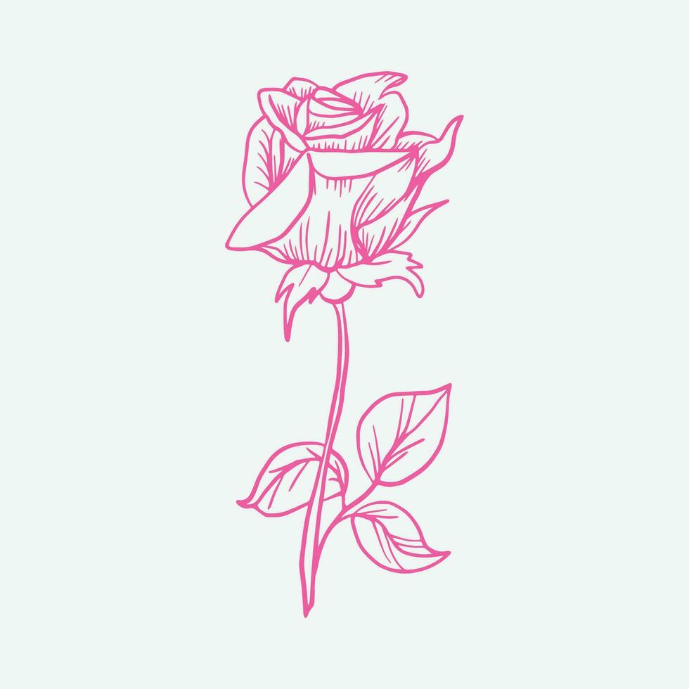 rosado Rosa flor ramo de flores aislado en blanco antecedentes vector