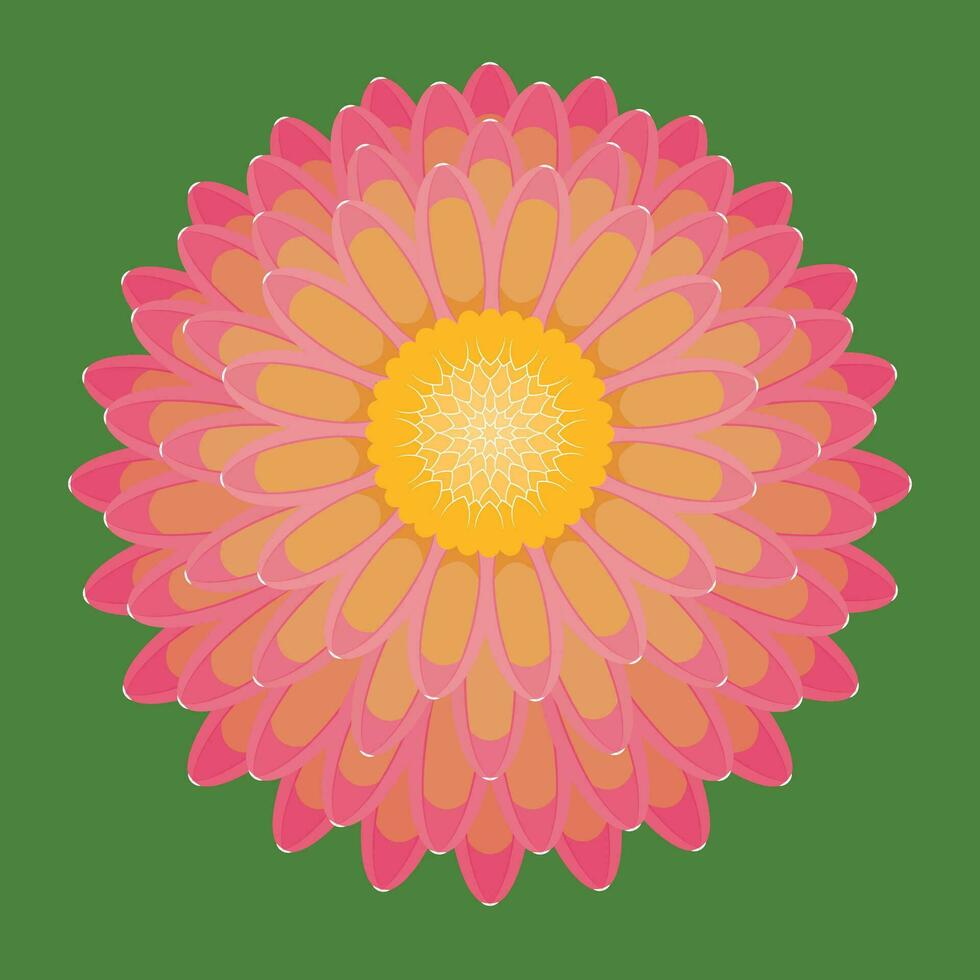 Dahlia flat illustration vector