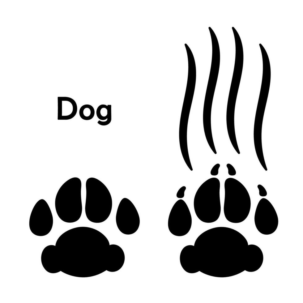 perro garra marcas, rasguño y patas huellas silueta aislado en blanco antecedentes. mascota garras cortes monocromo vector ilustración.