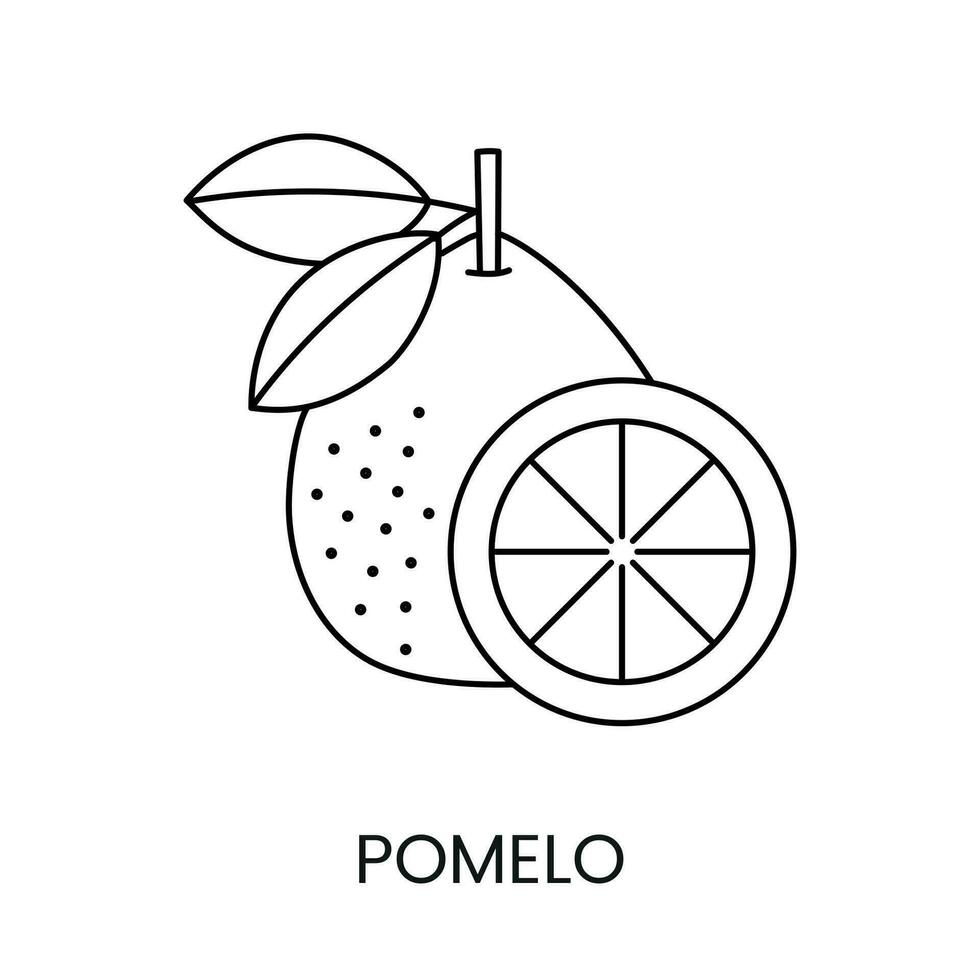 pomelo agrios fruta, línea icono en vector a indicar en comida embalaje acerca de el presencia de esta alérgeno