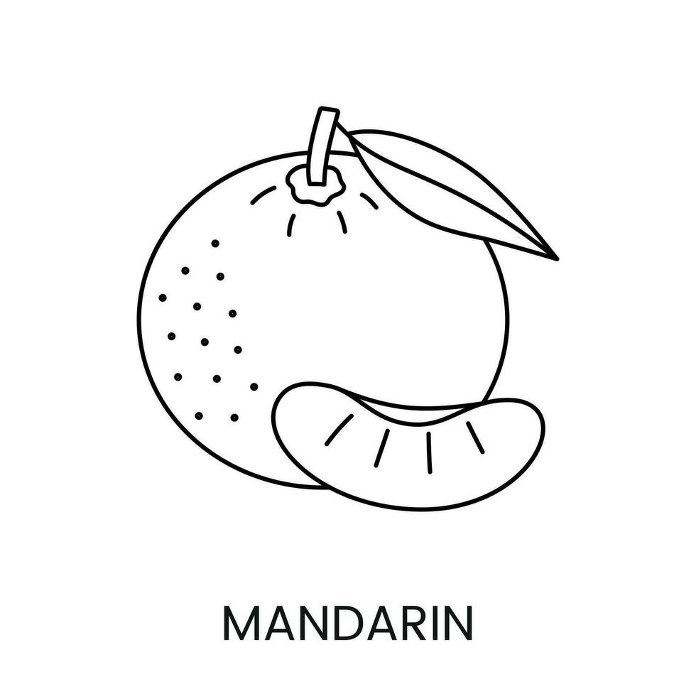 Mandarin vector line icon of a citrus fruit to indicate the presence of an allergen on food packaging.