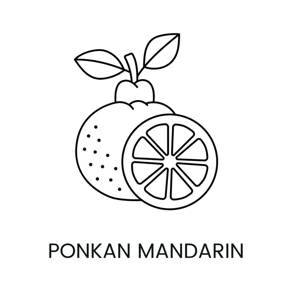 Citrus fruit ponkan mandarin, line icon in vector to indicate on food packaging about the presence of this allergen