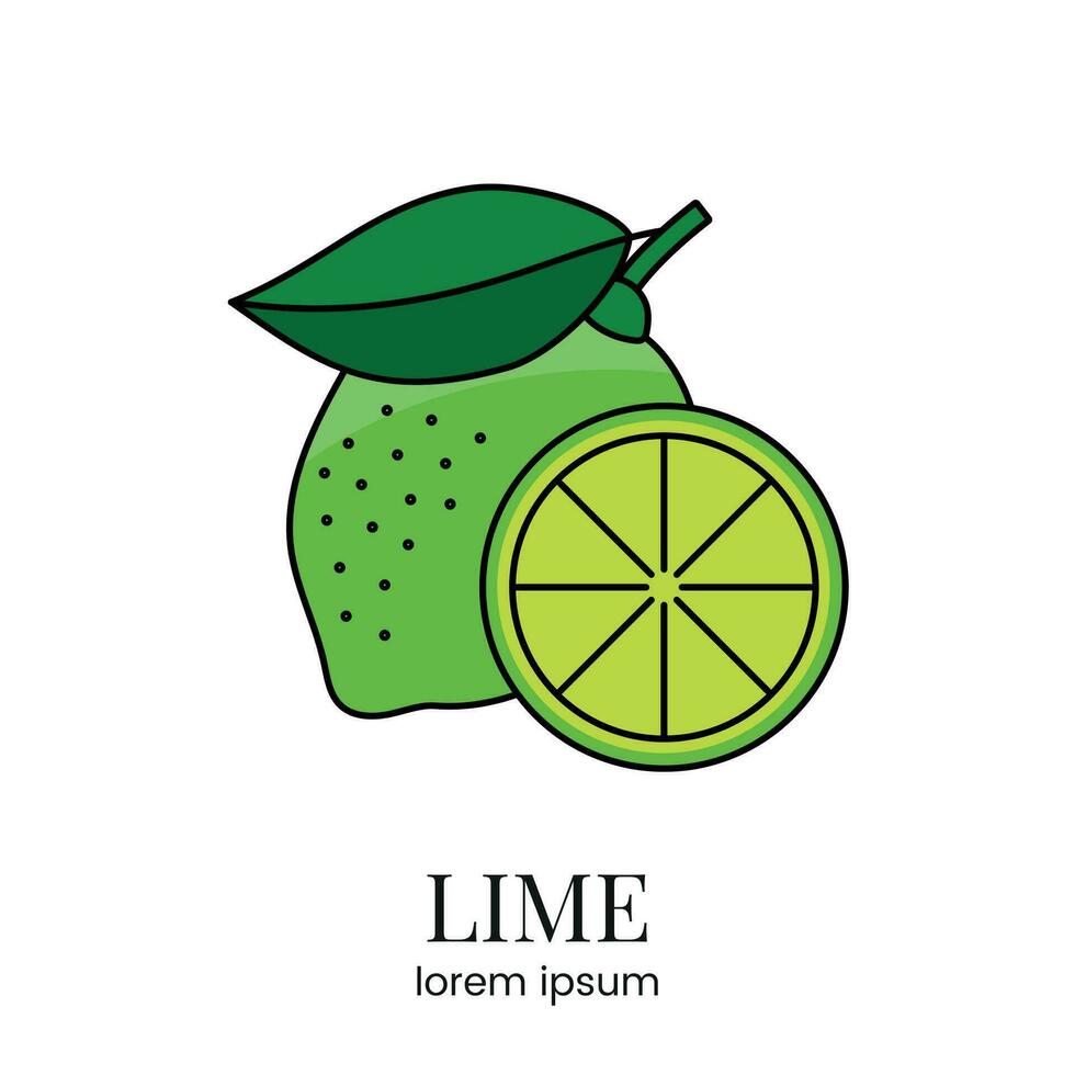 Citrus fruit Lime, line icon in vector to indicate on food packaging about the presence of this allergen