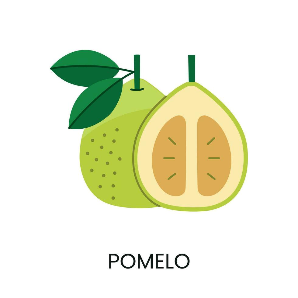 Vector illustration of a pomelo, conveying juiciness and bright color