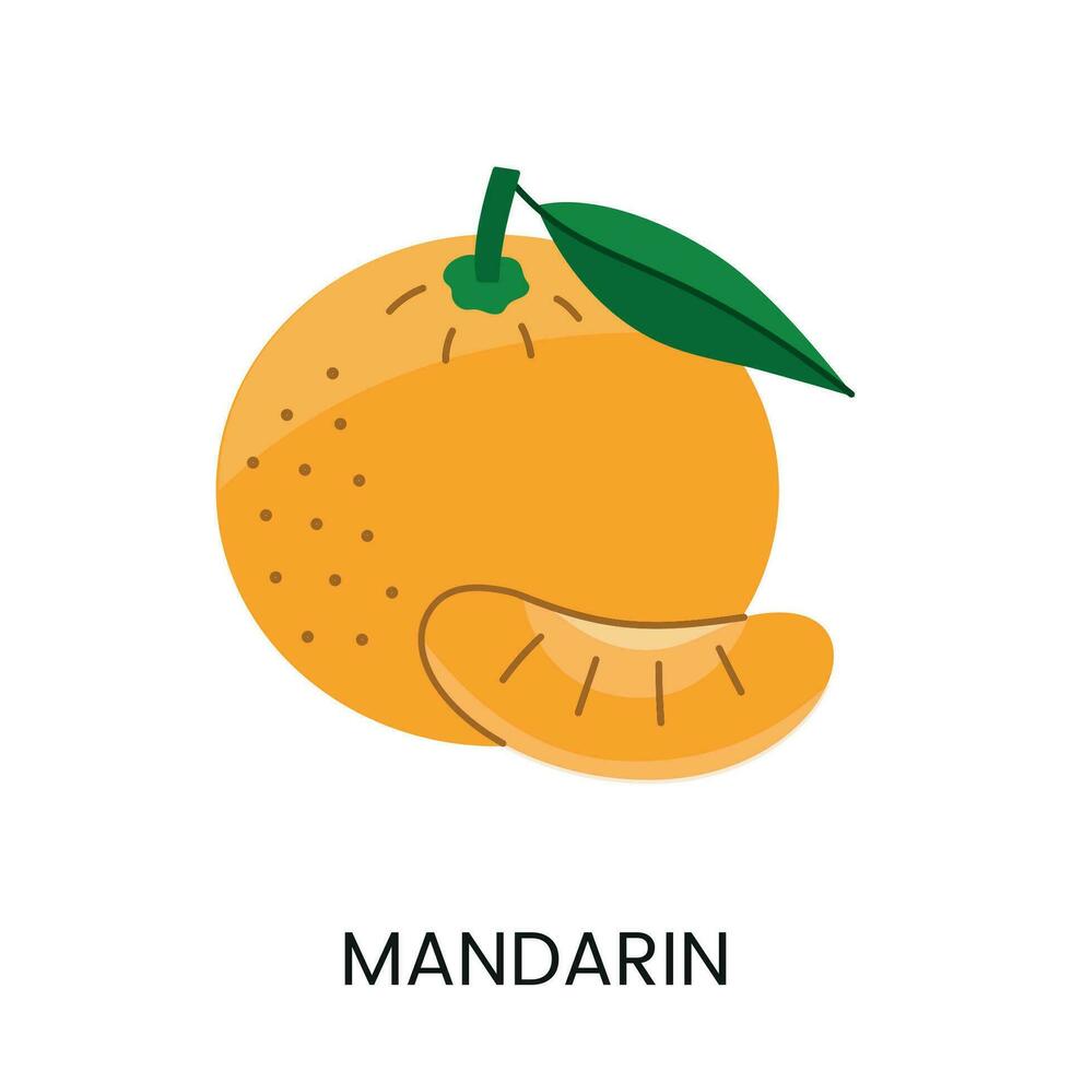 Vector illustration of a mandarin, conveying juiciness and bright color. Ideal for fresh and lively designs