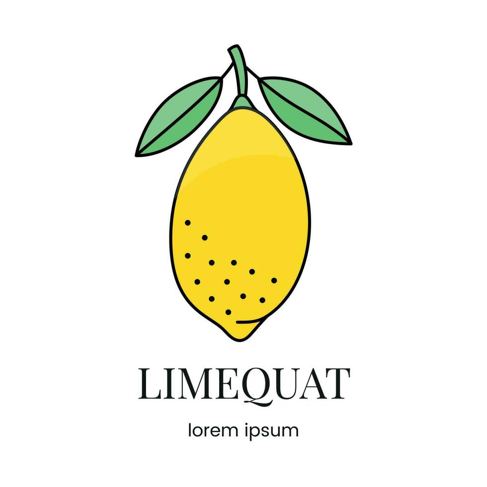 Citrus fruit limonella or limequat, line icon in vector to indicate on food packaging about the presence of this allergen