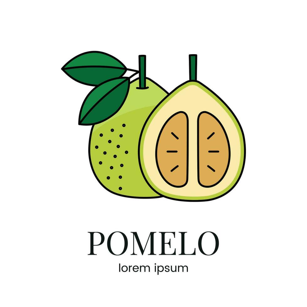 Pomelo citrus fruit, line icon in vector to indicate on food packaging about the presence of this allergen.