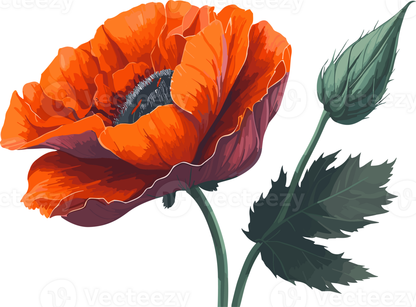 Red Poppy flower AI generative png