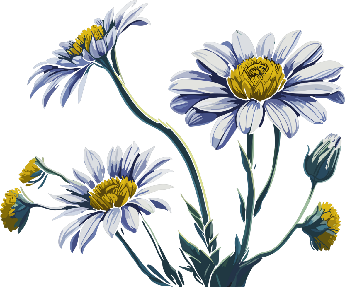 Marguerite peu fleur ai génératif png