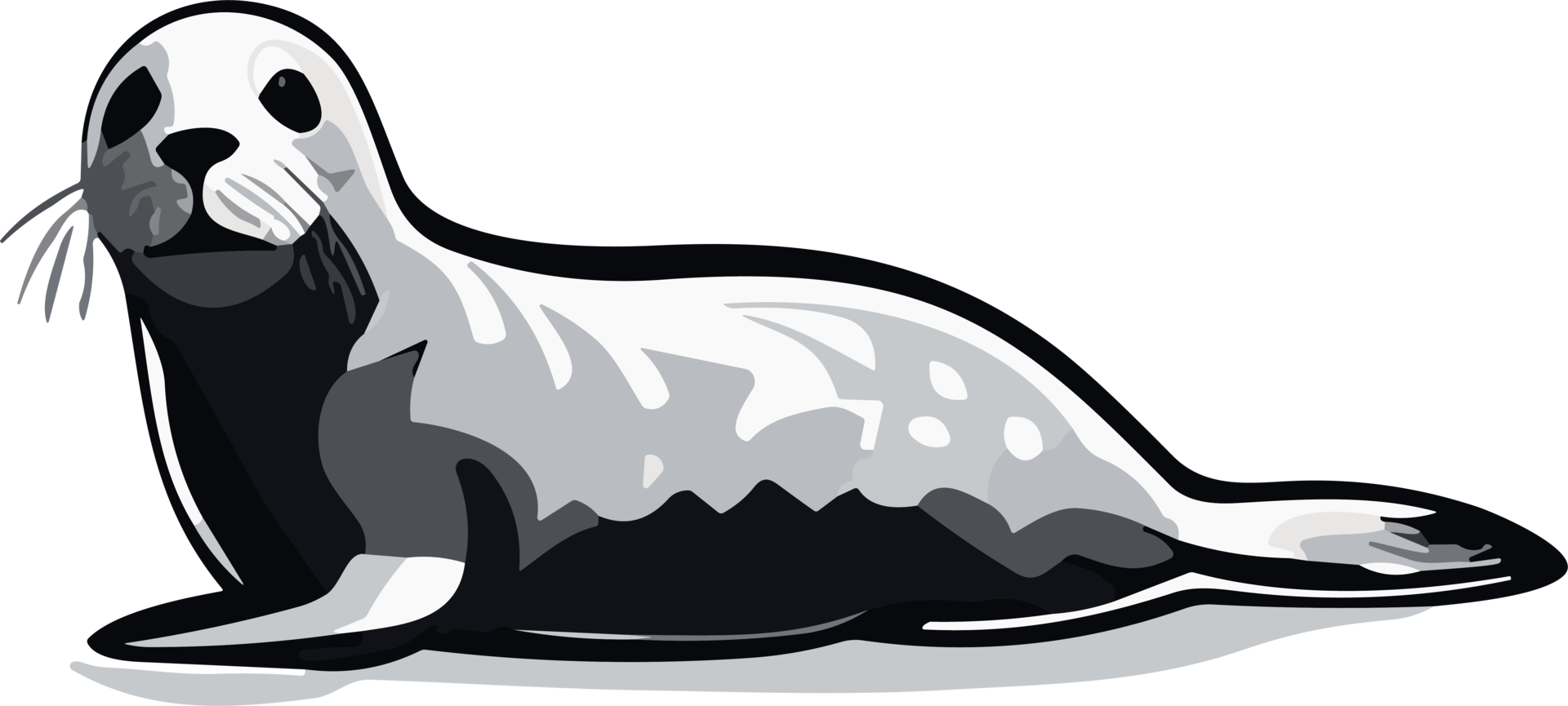 Seal Enchantment Captivating Charms of the Sea AI generative png